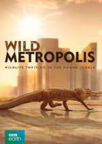Watch Wild Metropolis Movie4k