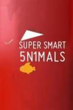 Watch Super Smart Animals Movie4k
