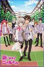 Watch Haiyore Nyaruko-san Movie4k