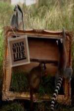 Watch Anna's Wild Life Movie4k