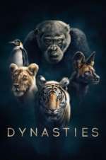 Watch Dynasties Movie4k