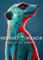 Watch Meerkat Manor: Rise of the Dynasty Movie4k