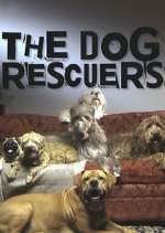 Watch The Dog Rescuers with Alan Davies Movie4k