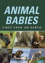 Watch Animal Babies: First Year on Earth Movie4k