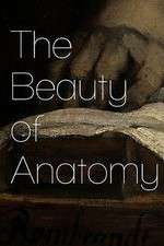 Watch The Beauty of Anatomy Movie4k