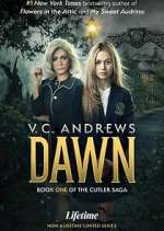 Watch V.C. Andrews' Dawn Movie4k
