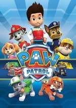 Watch Paw Patrol Movie4k