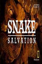 Watch Snake Salvation Movie4k