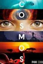 Watch Cosmos A SpaceTime Odyssey Movie4k