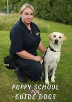Watch Puppy School for Guide Dogs Movie4k