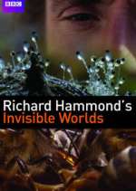 Watch Richard Hammond's Invisible Worlds Movie4k