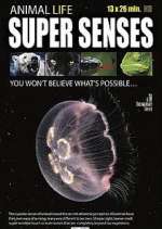 Watch Super Senses Movie4k