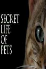 Watch The Secret Life of Pets Movie4k