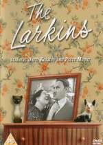 Watch The Larkins Movie4k