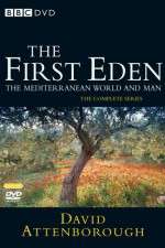 Watch The First Eden Movie4k