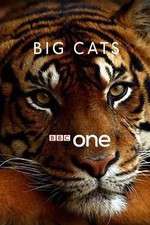 Watch Big Cats Movie4k