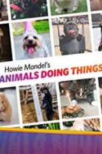 Watch Howie Mandel\'s Animals Doing Things Movie4k