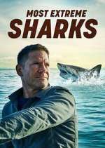 Watch Most Extreme Sharks Movie4k