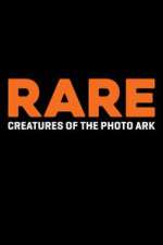 Watch Rare: Creatures of the Photo Ark Movie4k