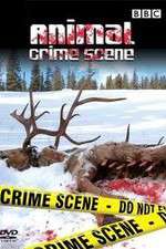 Watch Animal Crime Scene Movie4k