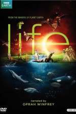 Watch Life Movie4k