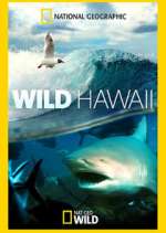 Watch Wild Hawaii Movie4k