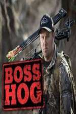 Watch Boss Hog Movie4k