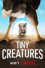 Watch Tiny Creatures Movie4k