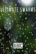 Watch Ultimate Swarms Movie4k