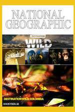 Watch Destination Wild: Colombia Movie4k