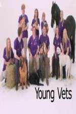 Watch Young Vets Movie4k