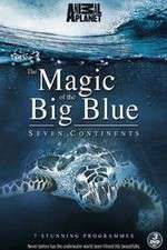 Watch The Magic of the Big Blue Movie4k