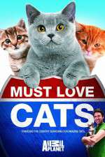 Watch Must Love Cats Movie4k
