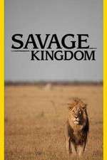 Watch Savage Kingdom Movie4k