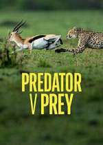 Watch Predator v Prey Movie4k