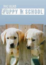 Watch Dog Squad: Puppy School Movie4k