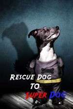 Watch Rescue Dog to Super Dog Movie4k