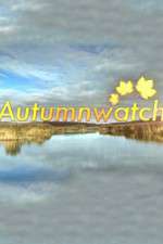 Watch Autumnwatch Movie4k