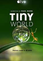 Watch Tiny World Movie4k