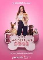 Watch Vanderpump Dogs Movie4k