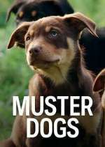 Watch Muster Dogs Movie4k