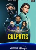 Watch Culprits Movie4k