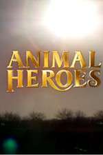 Watch Animal Heroes Movie4k