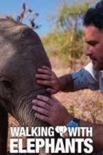 Watch Walking with Elephants Movie4k