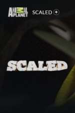 Watch Scaled Movie4k