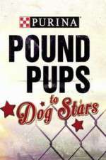 Watch Purina Pound Pups To Dog Stars Movie4k