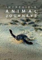 Watch Incredible Animal Journeys Movie4k