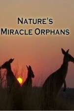 Watch Nature's Miracle Orphans Movie4k