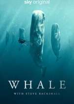 Watch Whale with Steve Backshall Movie4k