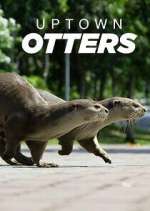 Watch Uptown Otters Movie4k